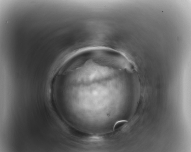 X0000088650053200706011228