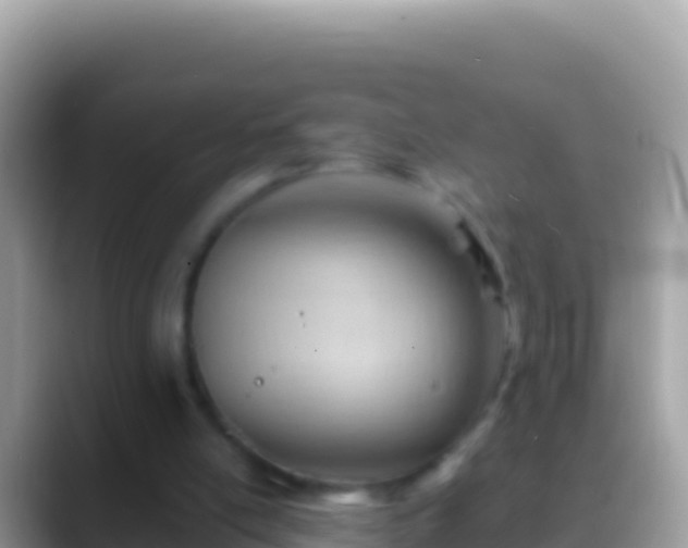 X0000088650054200706011228