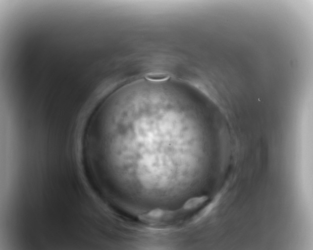 X0000088650055200706011229