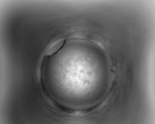 X0000088650056200706011229