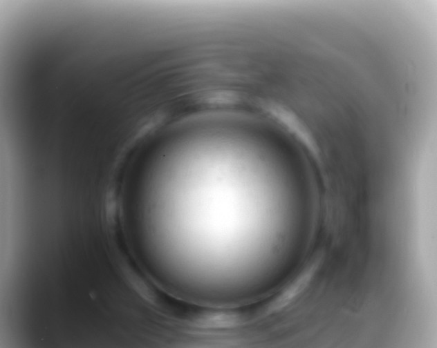 X0000088650057200706011229