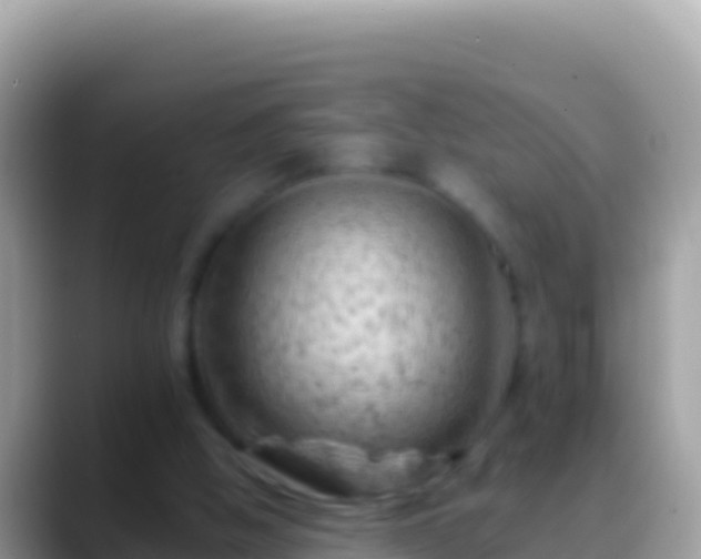 X0000088650058200706011229