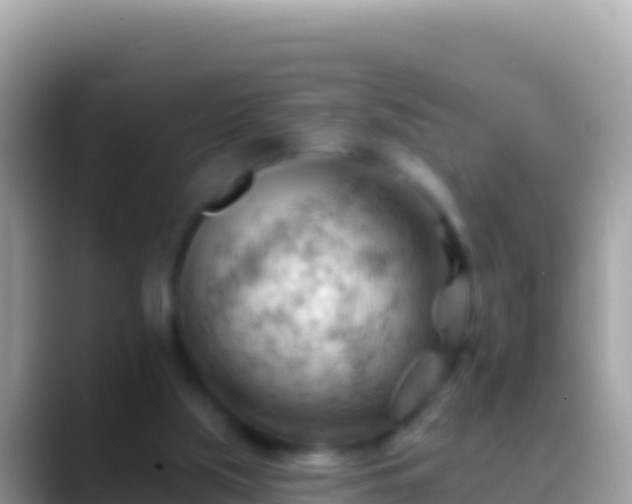 X0000088650059200706011229