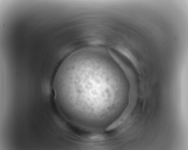 X0000088650060200706011229