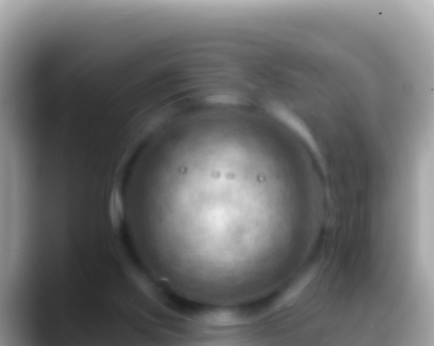 X0000088650061200706011229