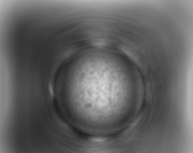 X0000088650062200706011229