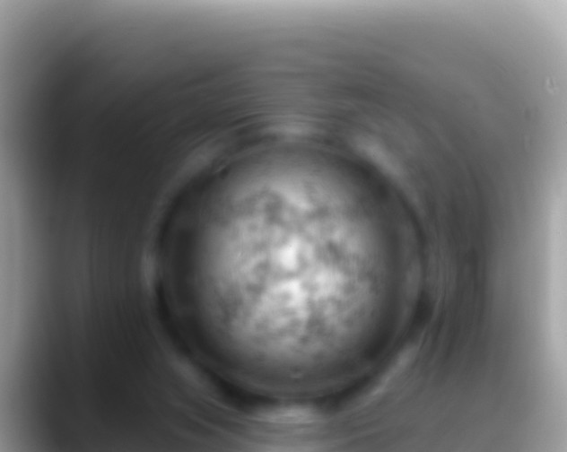 X0000088650063200706011229