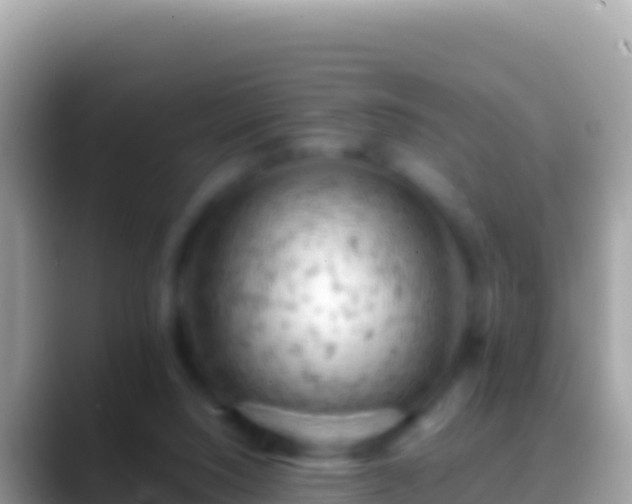 X0000088650064200706011229