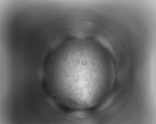 X0000088650065200706011229