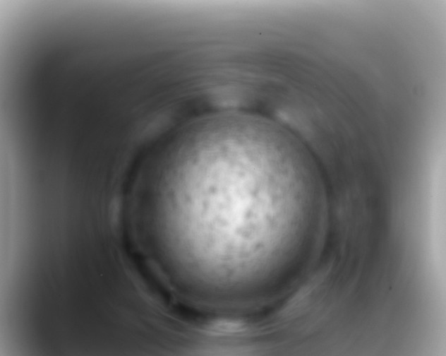 X0000088650066200706011229