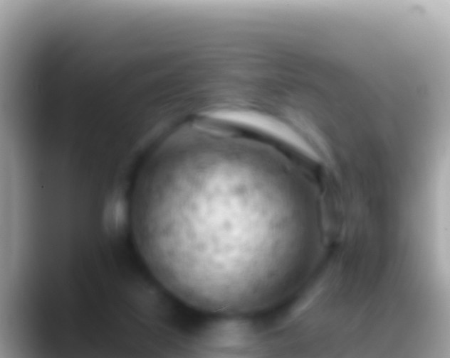 X0000088650067200706011229