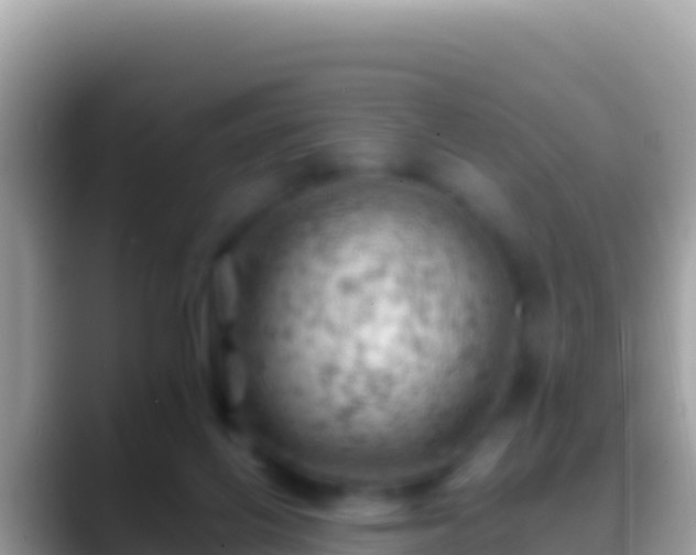 X0000088650070200706011229