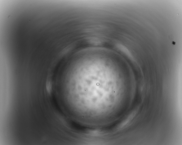 X0000088650071200706011229