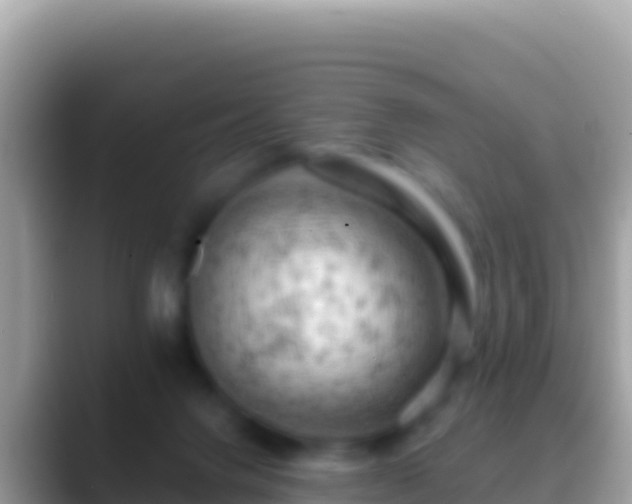 X0000088650072200706011229