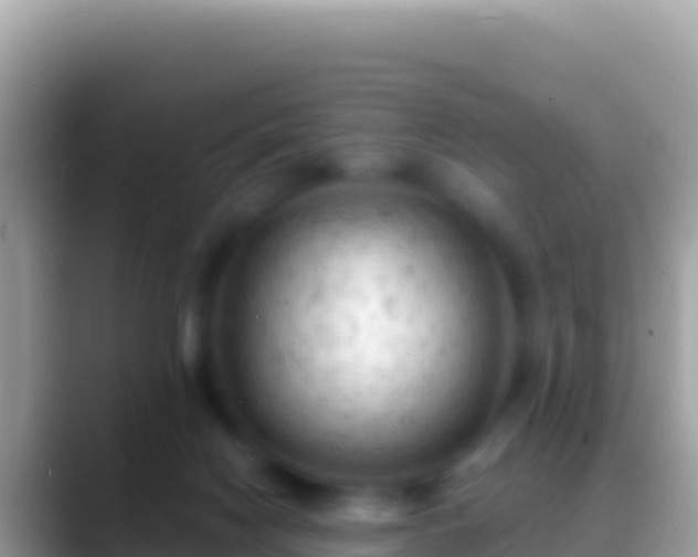 X0000088650074200706011229