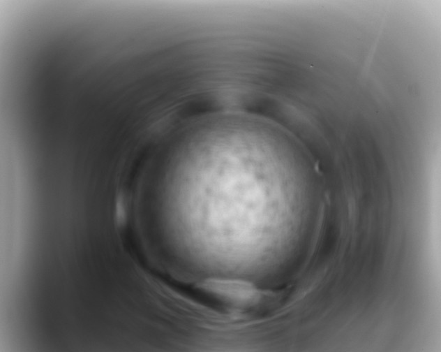 X0000088650075200706011229