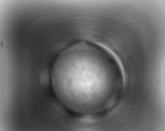 X0000088650080200706011229