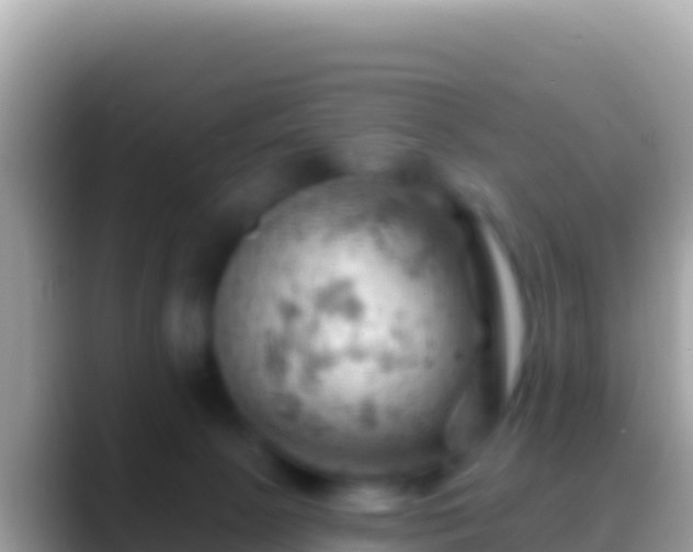 X0000088650081200706011229