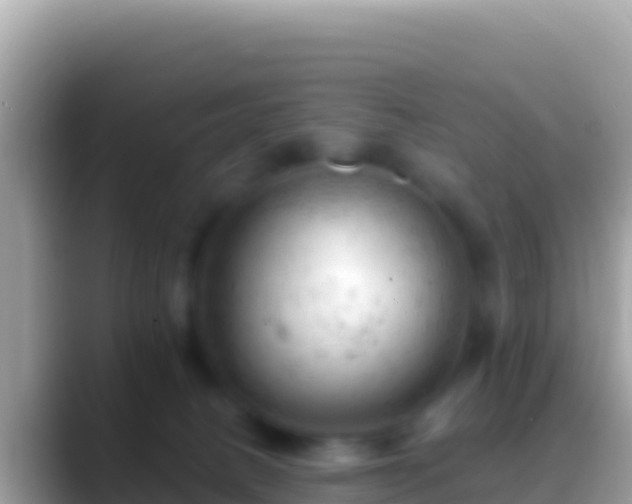 X0000088650082200706011229