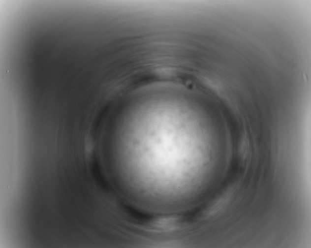 X0000088650084200706011229