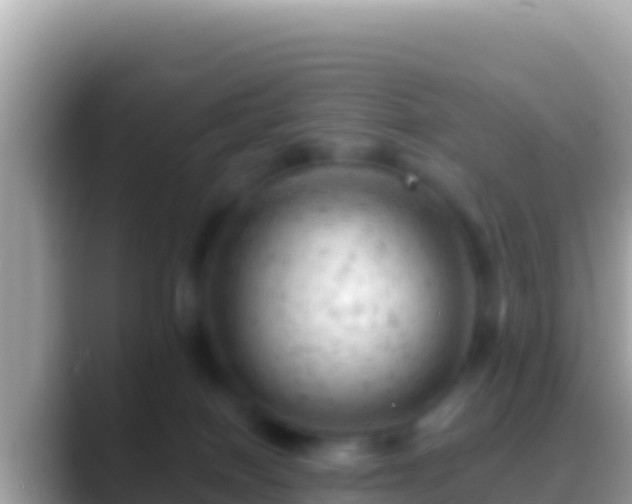 X0000088650086200706011229