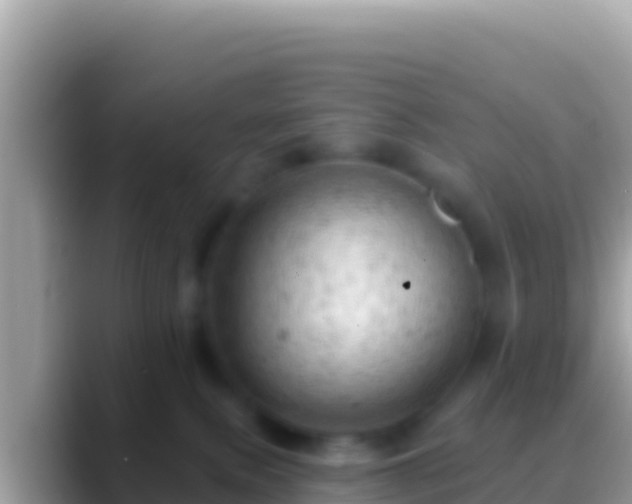 X0000088650087200706011229