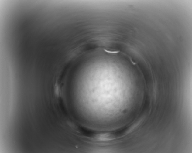 X0000088650089200706011229