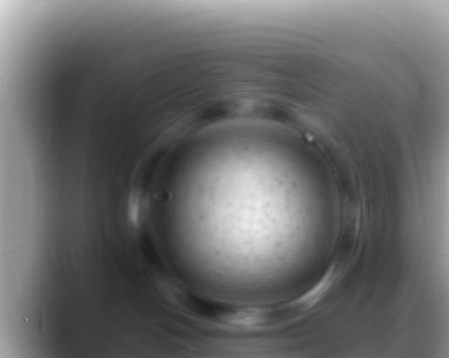 X0000088650094200706011229