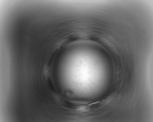 X0000088650096200706011229