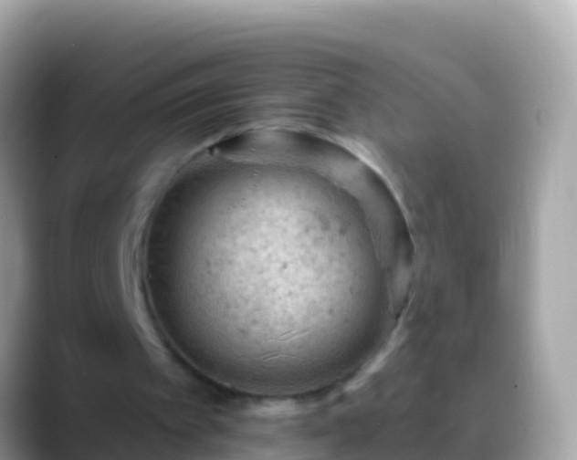 X0000088650097200706011228