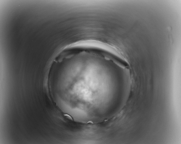 X0000088650099200706011228