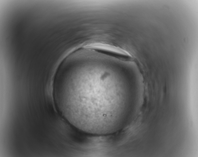 X0000088650100200706011228