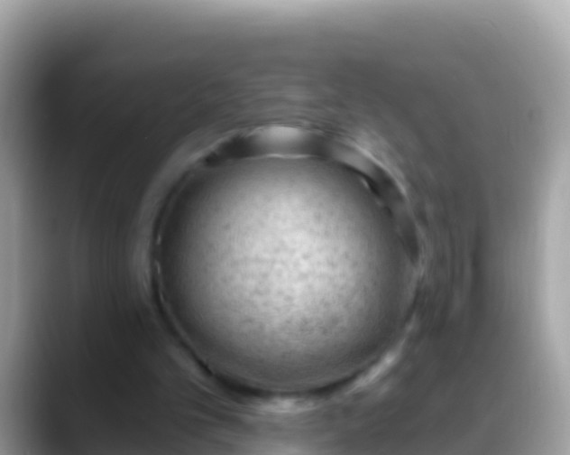 X0000088650101200706011228