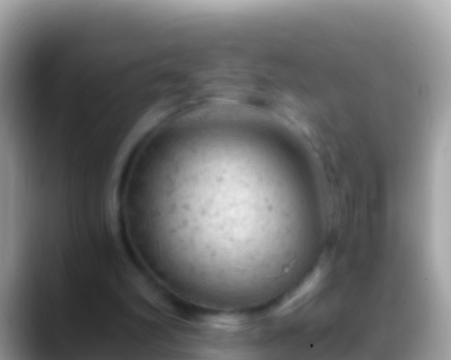 X0000088650102200706011228