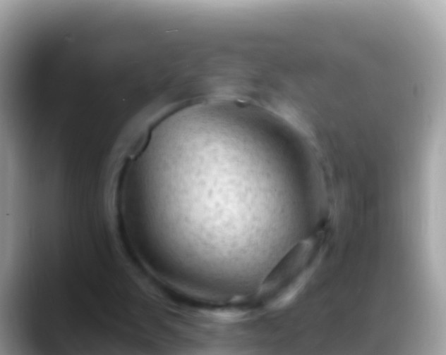 X0000088650103200706011228