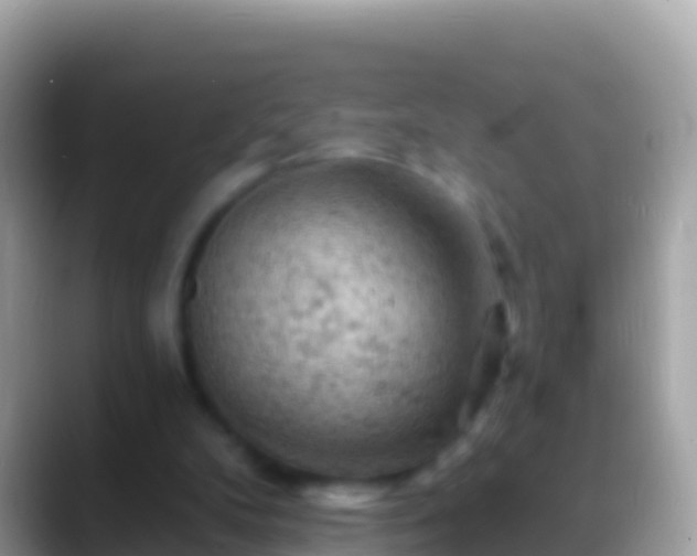 X0000088650104200706011228