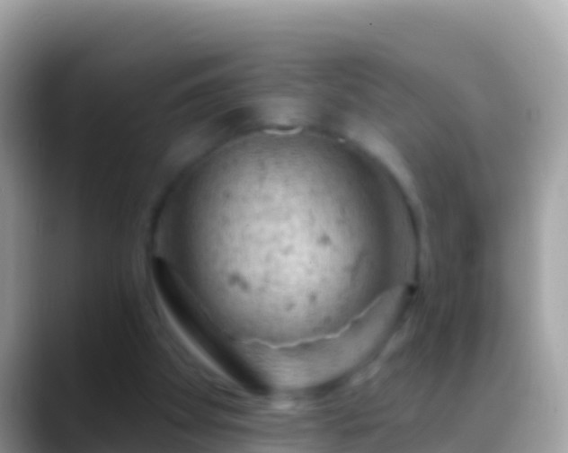 X0000088650105200706011228