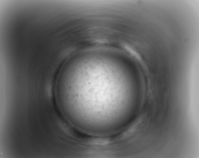 X0000088650106200706011228