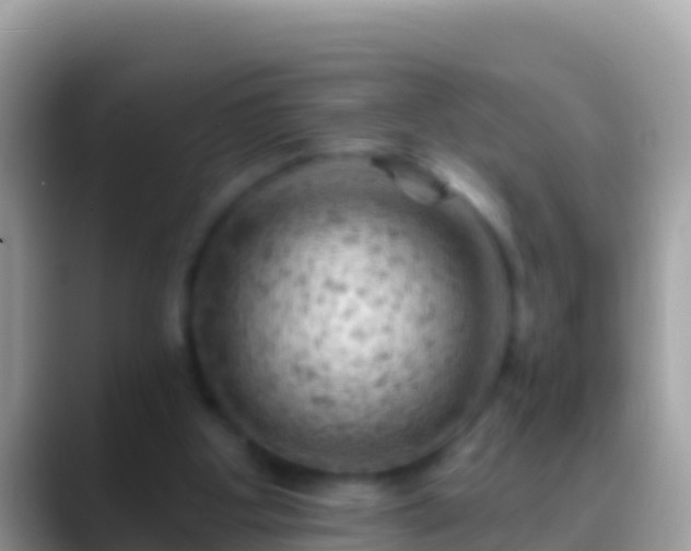 X0000088650107200706011228