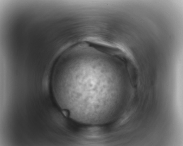 X0000088650108200706011228