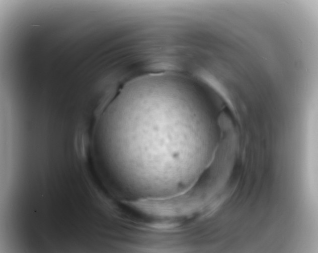 X0000088650109200706011228