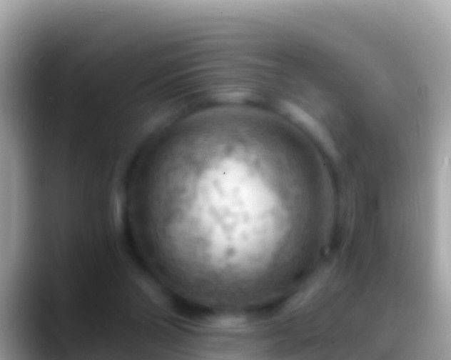 X0000088650110200706011228