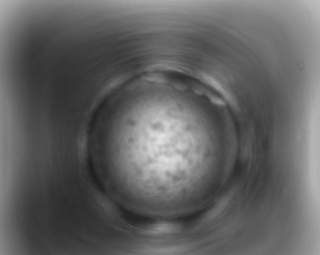 X0000088650111200706011228