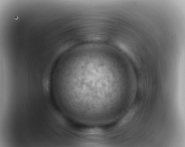 X0000088650112200706011228