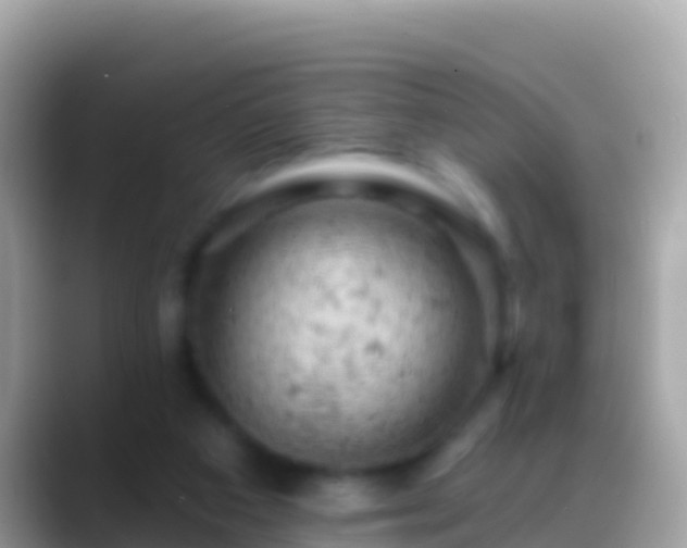 X0000088650113200706011228