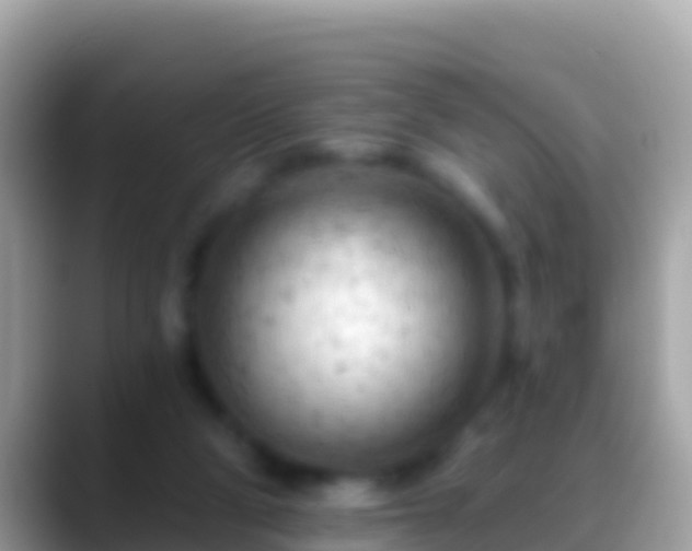 X0000088650114200706011228