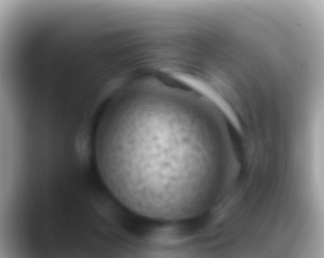 X0000088650116200706011228