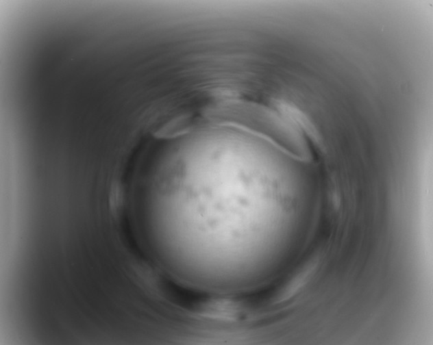 X0000088650117200706011228