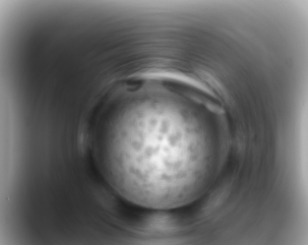 X0000088650119200706011228