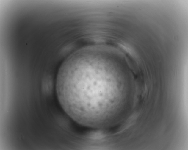 X0000088650120200706011228